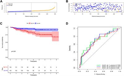 The construction and analysis of tricarboxylic acid cycle related prognostic model for cervical cancer